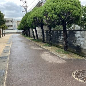 富山市山室｜山室小学校すぐそば・アルビス近くてお買い物に便利です