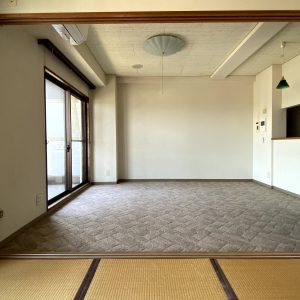 プチメゾン1002｜マンション最上階・東向きバルコニーで立山連峰一望