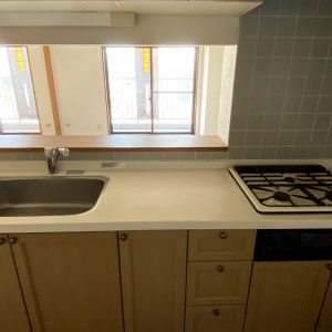 プチメゾン1002｜マンション最上階・東向きバルコニーで立山連峰一望