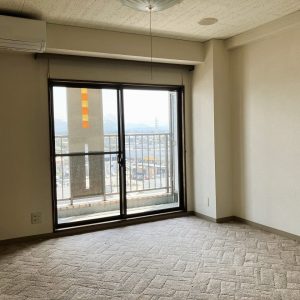 プチメゾン1002｜マンション最上階・東向きバルコニーで立山連峰一望