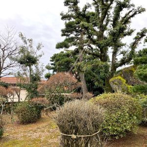 富山市経力｜部屋数豊富な9DK！ホームインスペクション済で安心