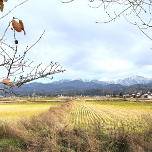 中新川郡上市町和合｜2026年1月内外装リフォーム完了予定